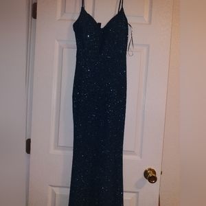 Sparkly dress